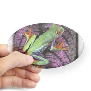   Clear (Oval) Red Eyed Tree Frog on Purple Leaf 