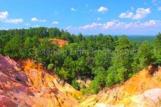 PHOTO PRINT   RED BLUFF Mississippis Little Grand Canyon Landscape 