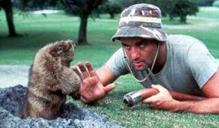   rampaging gopher who is chewing up holes throughout the golf course