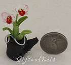 Dollhouse Miniature Catteya Orchid Flower Pot Clay