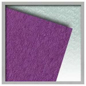  Canson Mi Teintes   25 Pack 19x25   Violet 507 Office 
