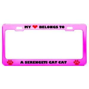  A Serengeti Cat Cat Pet Pink Metal License Plate Frame Tag 