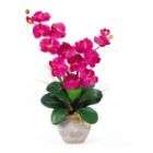 Nearly Natural Double Stem Phalaenopsis Silk Orchid Flower Arrangement