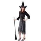 Totally Ghoul Spider Witch Adult Costume