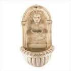 Fountain Cellar Classic Lions Head Outdoor/Indoor Wall Fountain