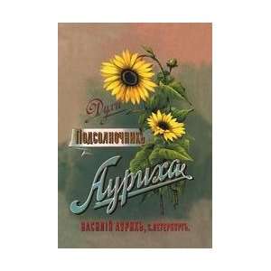  Sunflower perfume fragrance 28x42 Giclee on Canvas