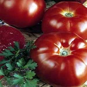    Organic Super Marmande Slicing Tomato Patio, Lawn & Garden