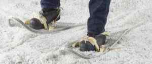 NEW GENUINE ISSUE MILITARY SNOW SHOES WITH BINDINGS  