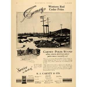   Co. Western Red Cedar Poles Stand   Original Print Ad