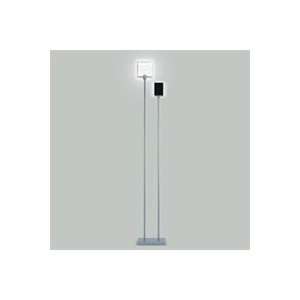  Zaneen Lighting D8 40 2 Light Floor Lamp, Metallic Gray 