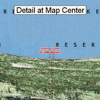  USGS Topographic Quadrangle Map   Sucker Creek, Minnesota 