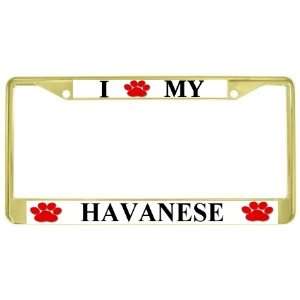  I Love My Havanese Paw Prints Dog Gold Metal License Plate 