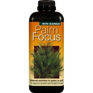  Palm Focus 1 Litre   For optimal performance of growing 