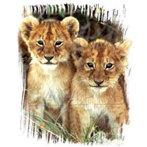  T shirts Animals Wildlife Lion Cubs M 