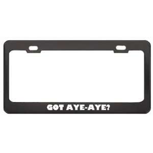  Got Aye Aye? Animals Pets Black Metal License Plate Frame 