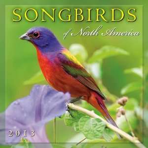  Songbirds of North America 2013 Wall Calendar Office 