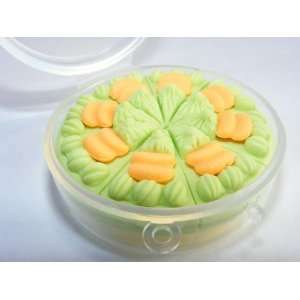  Carrot Cake Full Sliced Japanese Erasers in Round Case. 8 