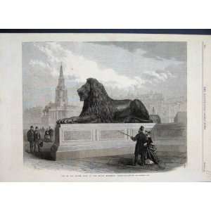   Bronze Lion Nelson Monument Trafalgar Square Print