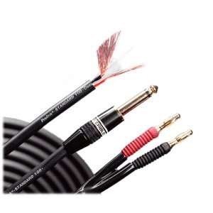  Monster Cable Speaker Cable; 20 ft.   straight 1/4 to 