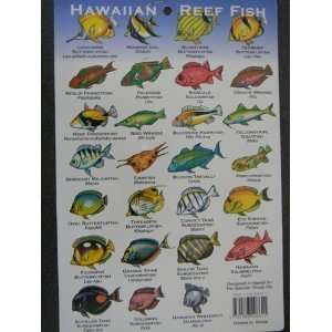  Hawaiian Reef Fish