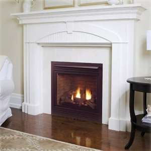   Vent Fireplace System With Signature Command Control