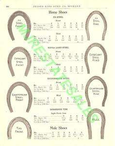 1911 Antique American Horseshoe Horse Mule Shoe AD  