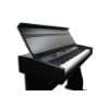 Schubert Klassisches E Piano Homepiano (88 Tasten, MIDI, Sustain Pedal 