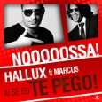 Ai Se Eu Te Pego (Original Mix) von Hallux feat. Marcus (  