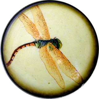 Crystal Dome Button Japanese Dragonfly AF 08  