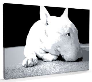 English Bull Terrier Pop Art, CANVAS A3 to A1   v210  