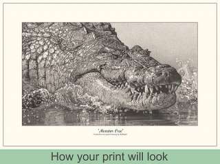Wildlife Art Signed Reptile Pencil Drawing Picture New Print Alligator 