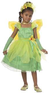 Girls and Toddler Blossom Fairy Costume   Fairy Costumes