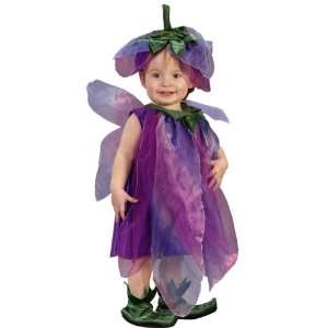  Baby Sugar Plum Fairy Costume Infant 12 24 Month Cute Halloween 
