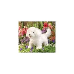 Dog, Bichon Frise Dog Hand Puppet   By Folkmanis