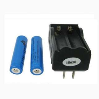 2pcs 18650 3.7V 3000mAh Rechargeable Battery with Traveling Battery 