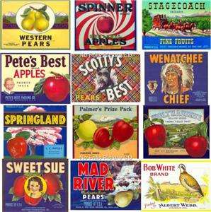 8000+ PICs CD 1920 1960s Vintage poster sign ad labels  