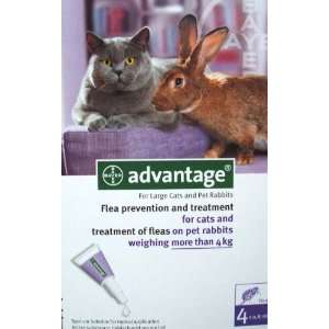  Cheapest Advantage for Cats Over 9 Lbs. ~~ 4 Months 