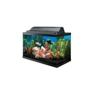  All Glass Aquarium Aquarium/Hood Combo