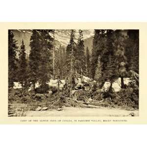  1911 Print Camp Alpine Club Canada Paradise Valley Rocky 