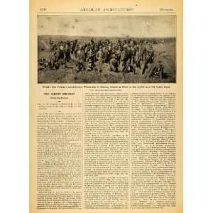  1893 Article American Agriculturist Wheat Harvest North 