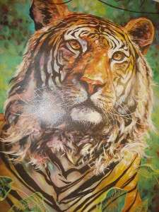   DeKay Litho Print 24x24 Kaplan Wall Decor Animal Art Wild sgn  