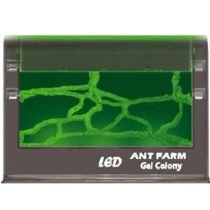    Exclusive Illuminated Ant Farm By Uncle Milton Electronics