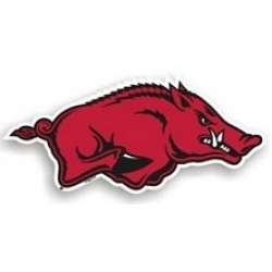 NCAA Arkansas Razorbacks Running Boar