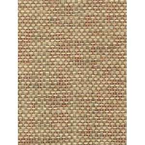  Wallpaper Astek Grasscloth & textures V AtX221