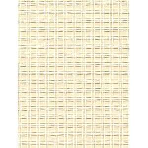  Wallpaper Astek Grasscloth & textures V AtX229