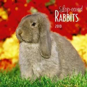  Lop eared Rabbits 2010 Wall Calendar
