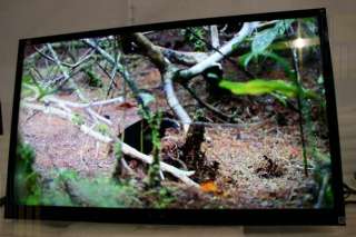Sony Bravia XBR 55HX929 55 Full 3D 1080p HDTV LED LCD SMART TV(aop 