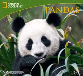 Pandas National Geographic 2012 Wall Calendar 1554564271  