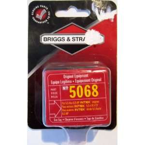  Briggs and Stratton GAS CAP for 5.5 6.5 HP Intex Engines 