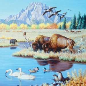   Cynthie Fisher Buffalo at the Pond 500pc Jigsaw Puzzle Toys & Games